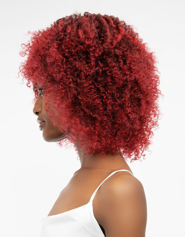 NATURAL AFRO LEON WIG - Image 6