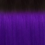 OET1B/PURPLE